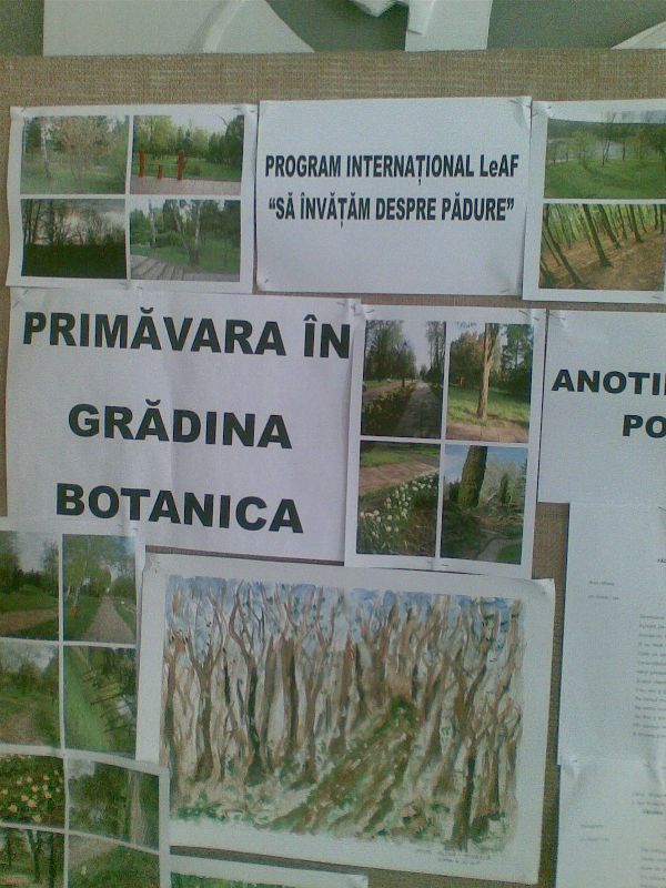 Evaluare3