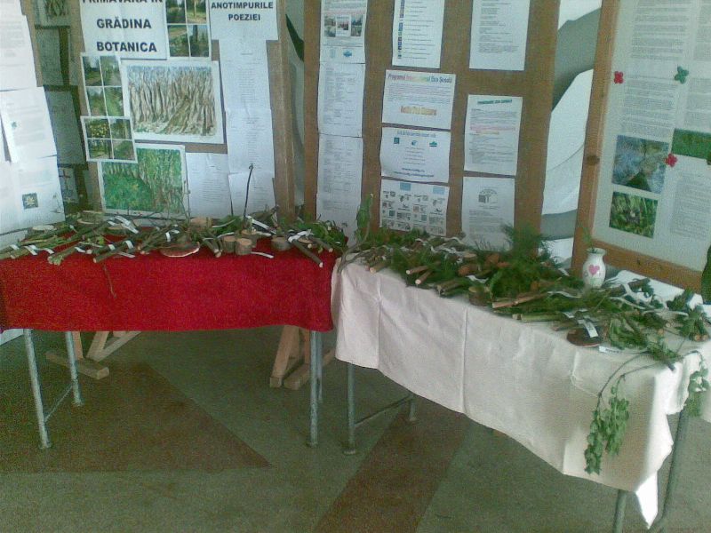 Evaluare5